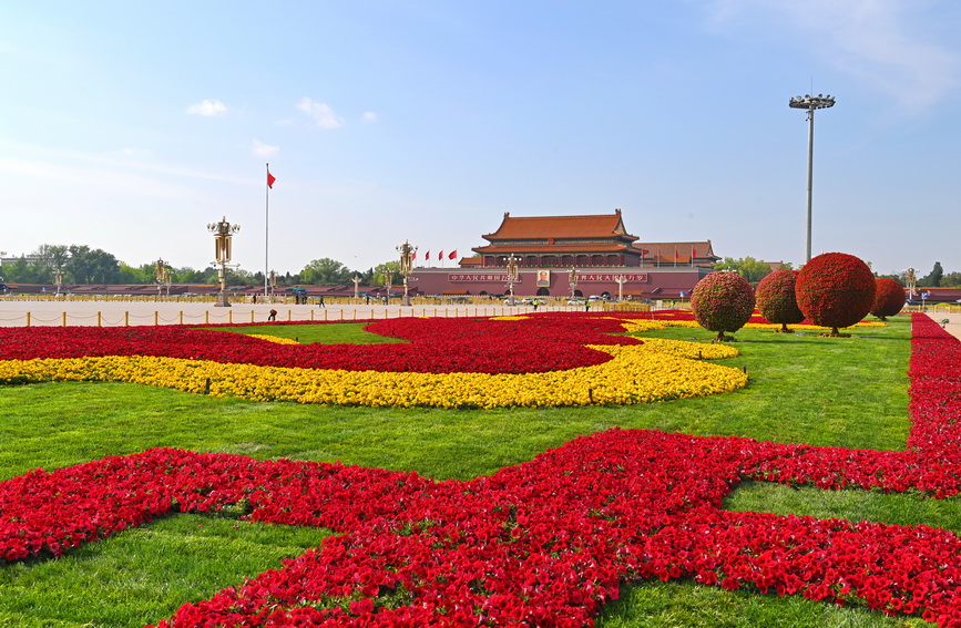 近日，北京天安门广场的花卉布置一新，花团锦簇迎接“五一”国际劳动节的到来。胡庆明摄（人民图片网）